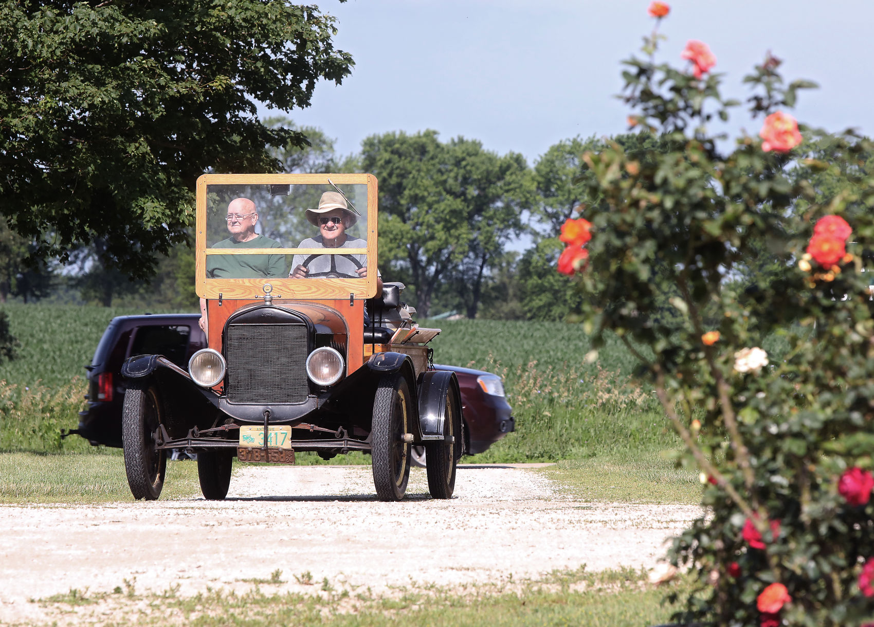 Rose gardener drives around in a 1924 Model T